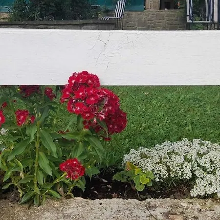 Guest-room Zoi&teri 3*