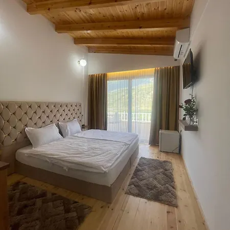 Guest-room Zoi&teri Tepelene