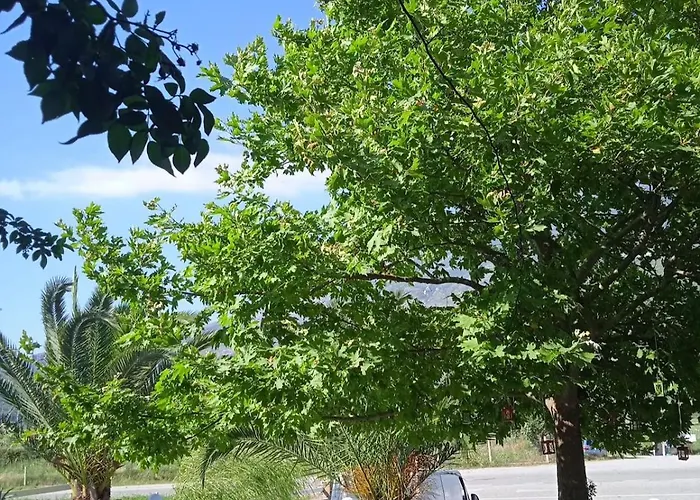 招待所 Guest-room Zoi&teri